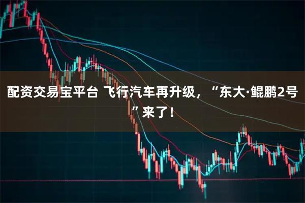 配资交易宝平台 飞行汽车再升级，“东大·鲲鹏2号”来了！