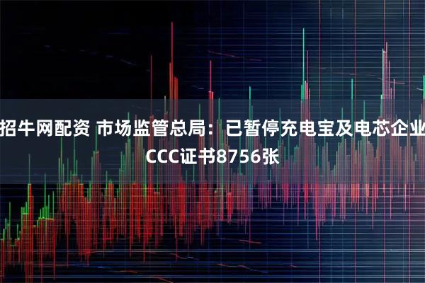 招牛网配资 市场监管总局：已暂停充电宝及电芯企业CCC证书8756张